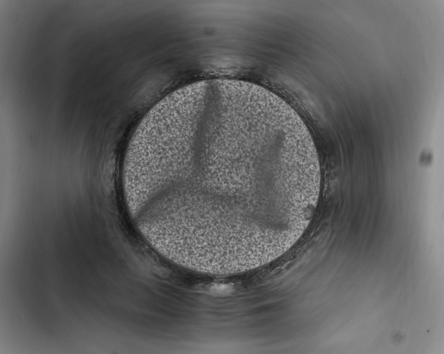 X0000102800647200809150930