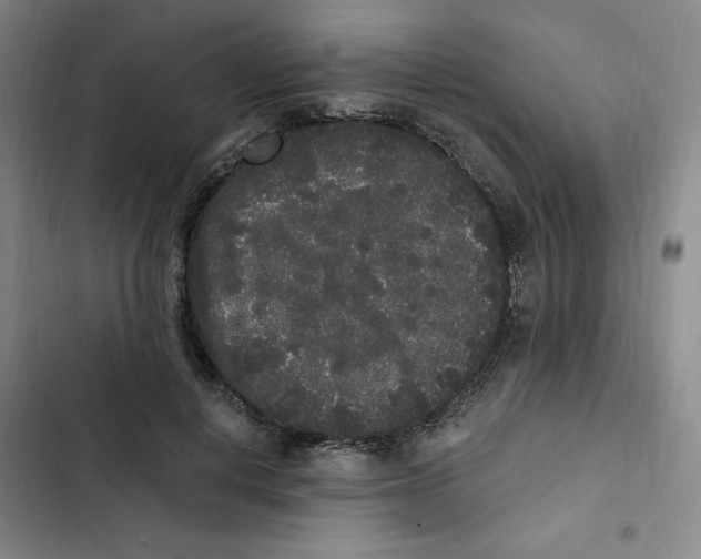 X0000102800648200809150930