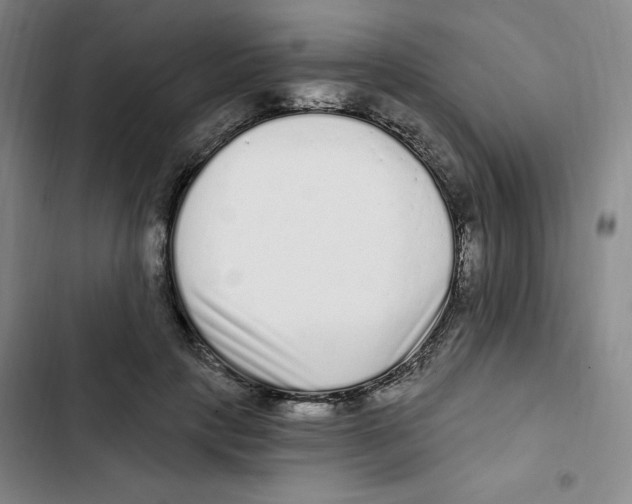 X0000102800649200809150930