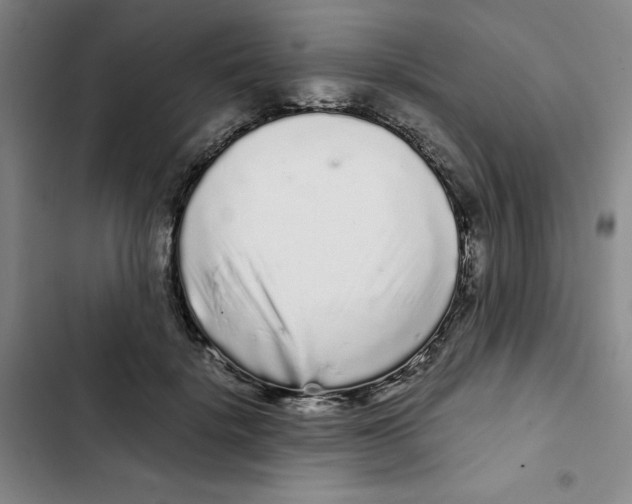 X0000102800652200809150930