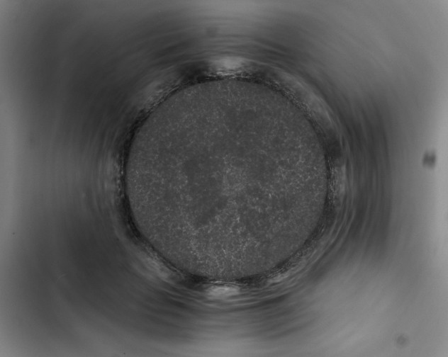 X0000102800653200809150930