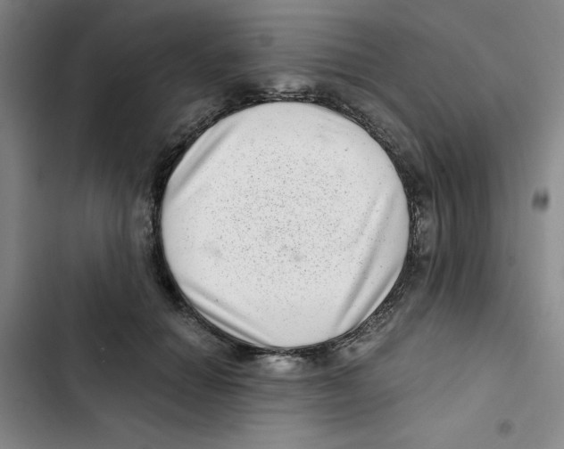 X0000102800654200809150930