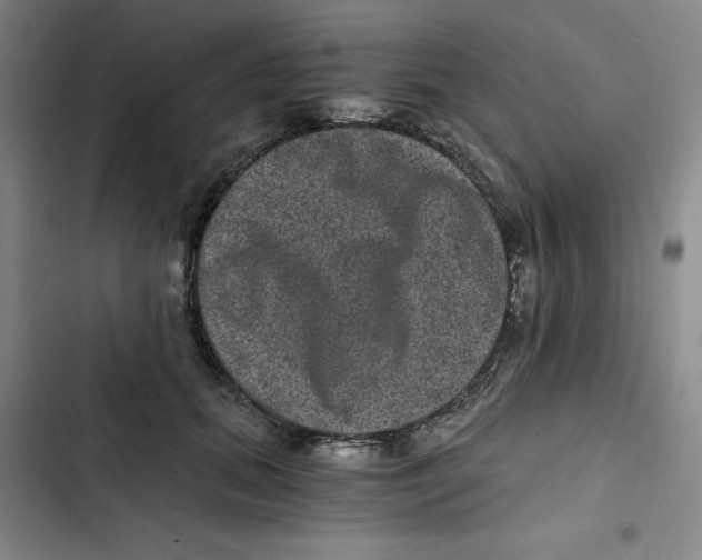 X0000102800655200809150930