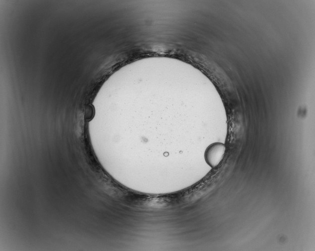 X0000102800656200809150930