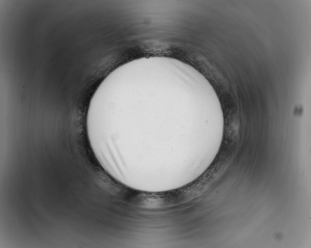 X0000102800658200809150930