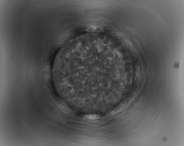 X0000102800659200809150930