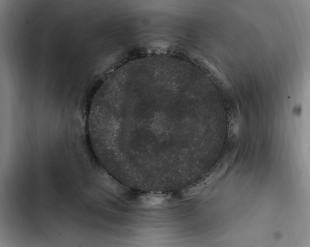 X0000102800661200809150930