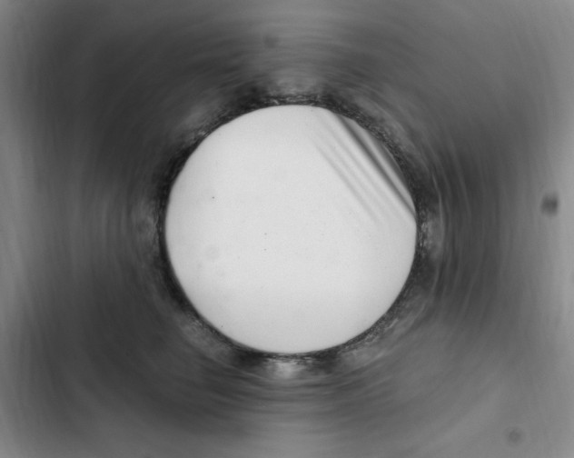 X0000102800662200809150930