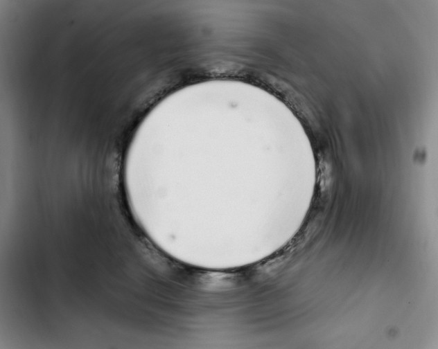 X0000102800664200809150930