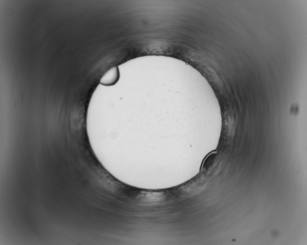 X0000102800665200809150930