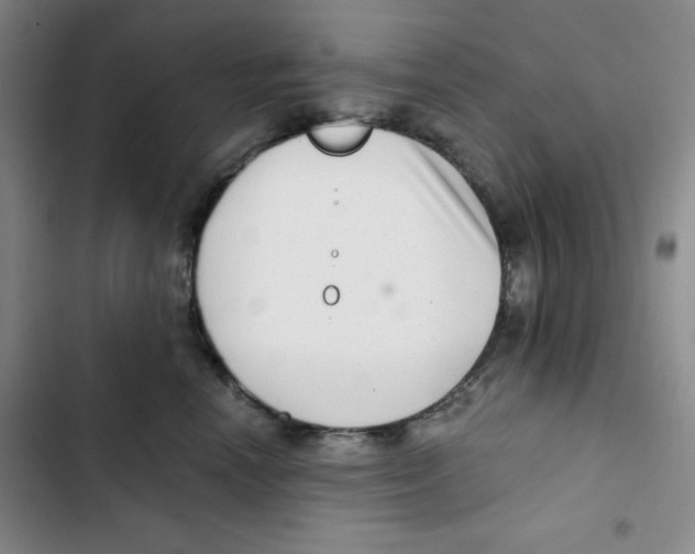 X0000102800666200809150930