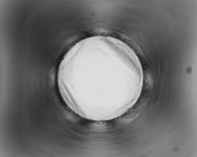 X0000102800668200809150930