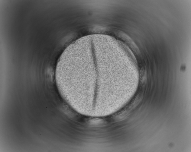 X0000102800669200809150930