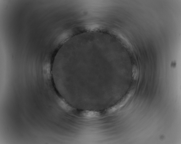 X0000102800670200809150930