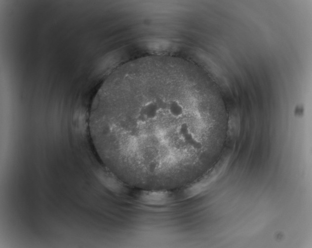 X0000102800671200809150930