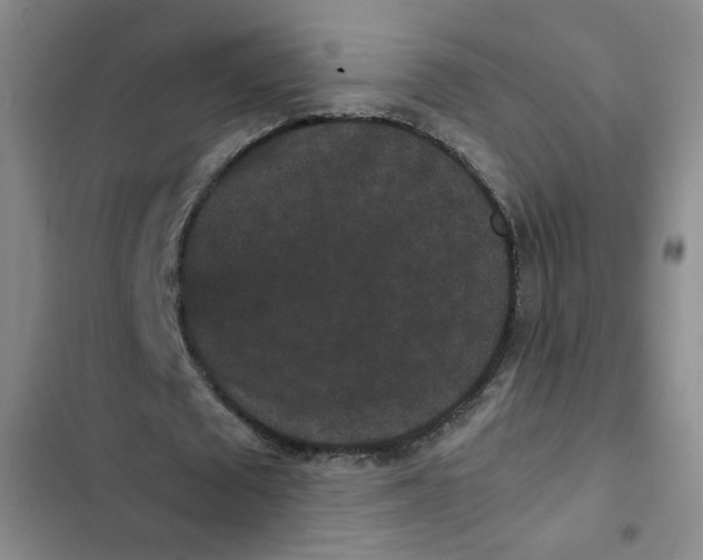 X0000102800673200809150929