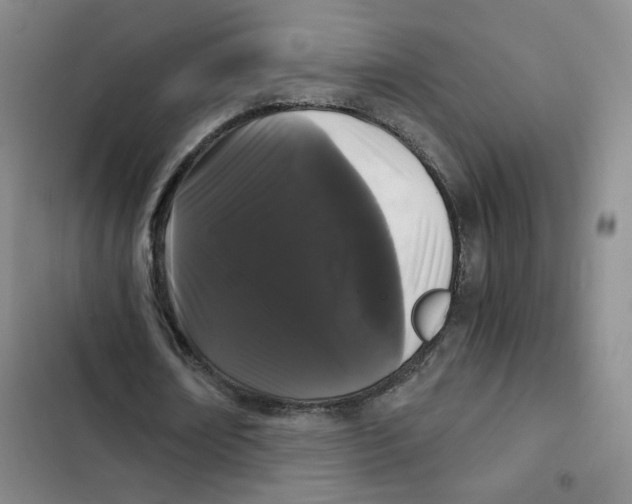 X0000102800674200809150929