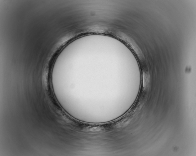 X0000102800675200809150929