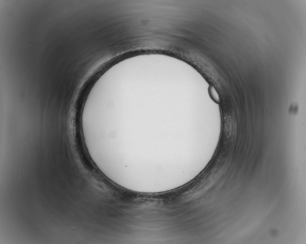 X0000102800676200809150929