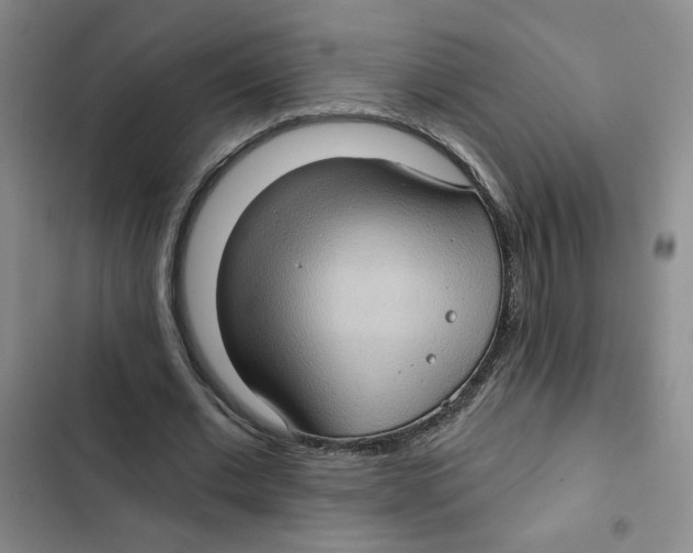 X0000102800677200809150929