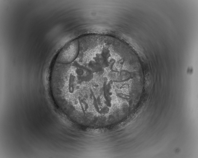 X0000102800679200809150929