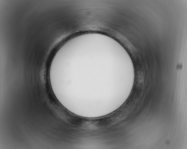 X0000102800680200809150929