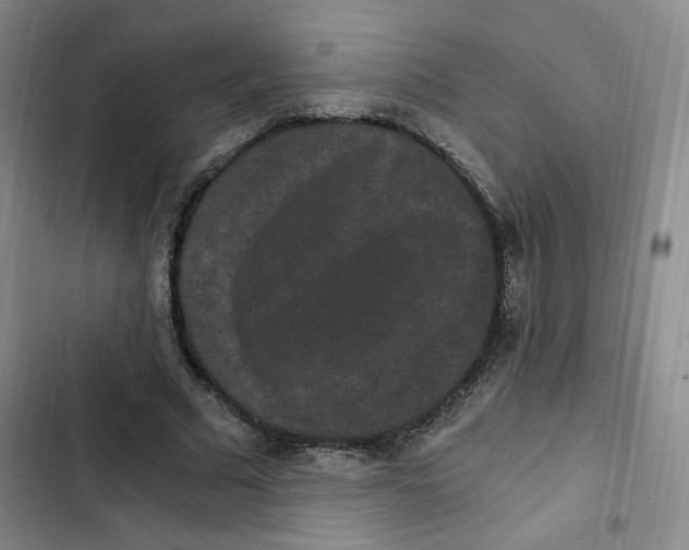 X0000102800681200809150929