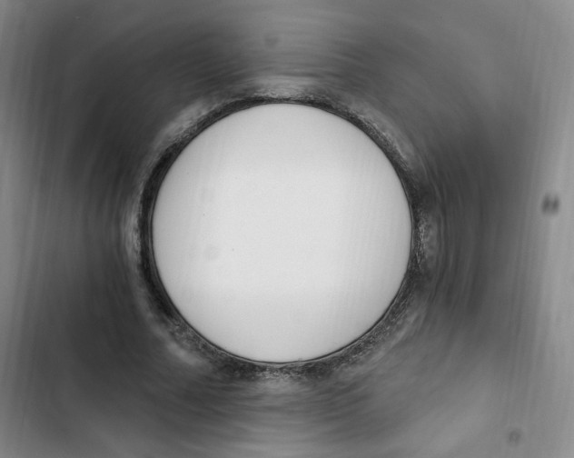 X0000102800682200809150929