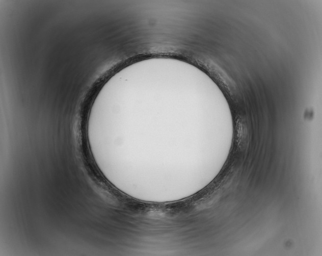 X0000102800684200809150929