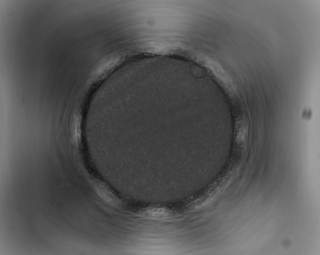 X0000102800685200809150929