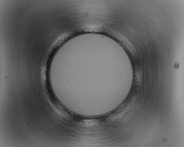 X0000102800686200809150929