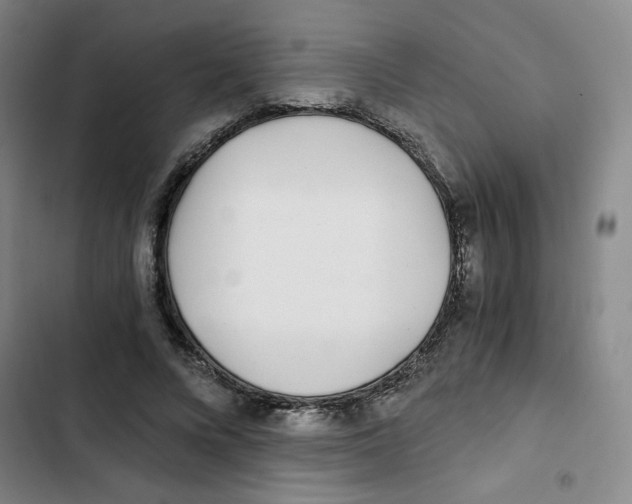 X0000102800688200809150929