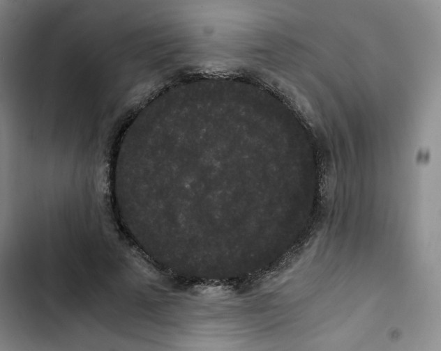 X0000102800689200809150929