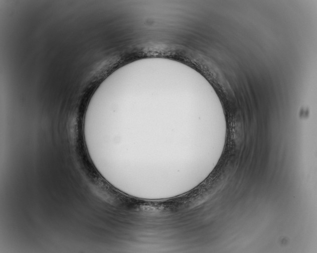 X0000102800690200809150929