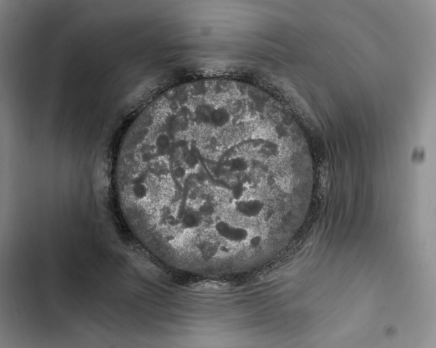 X0000102800691200809150929