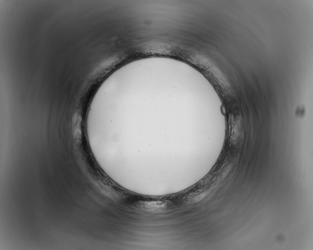 X0000102800692200809150929