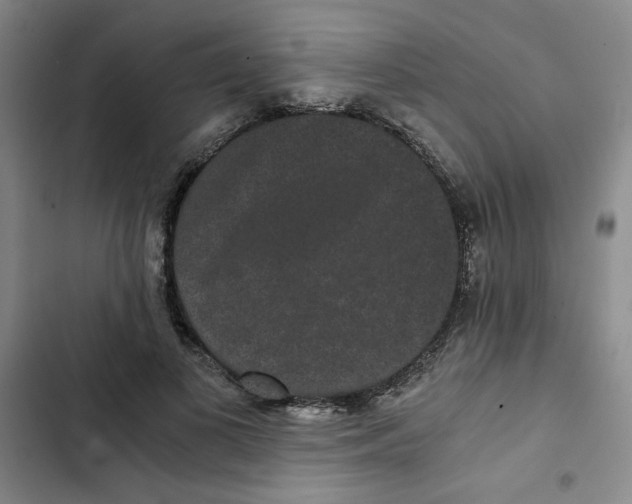 X0000102800693200809150929