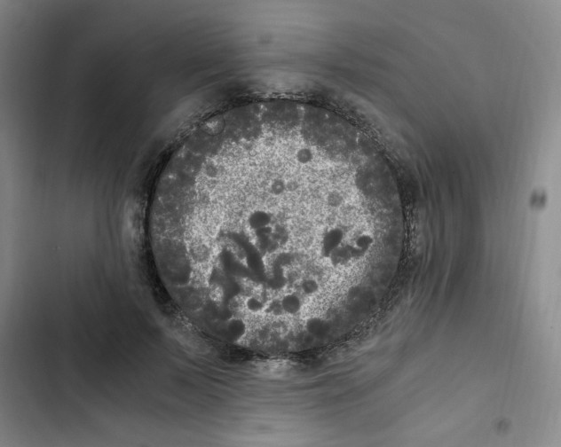 X0000102800695200809150929