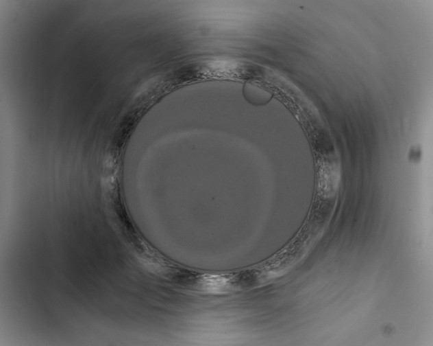 X0000102800701200809150929