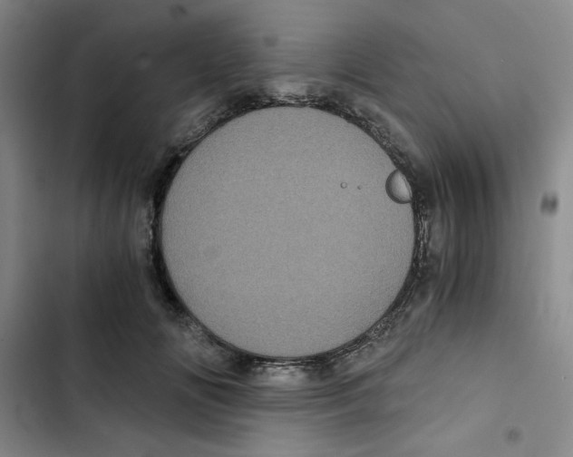 X0000102800702200809150929