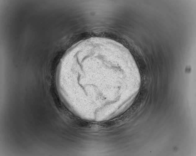 X0000102800703200809150929