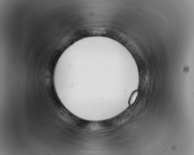 X0000102800704200809150929