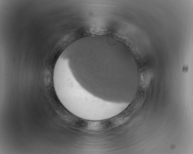 X0000102800705200809150929