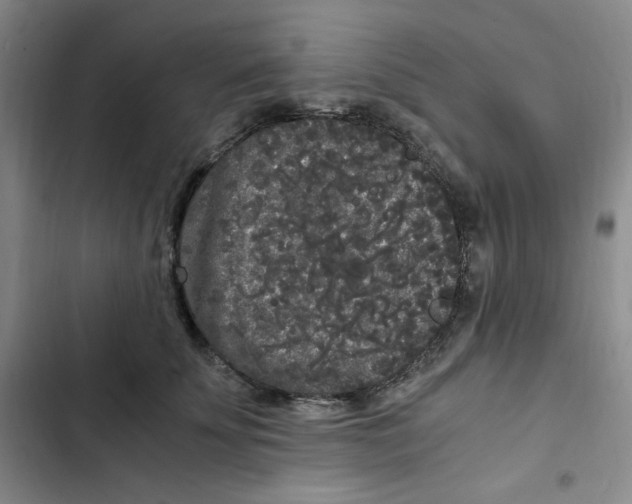 X0000102800707200809150929