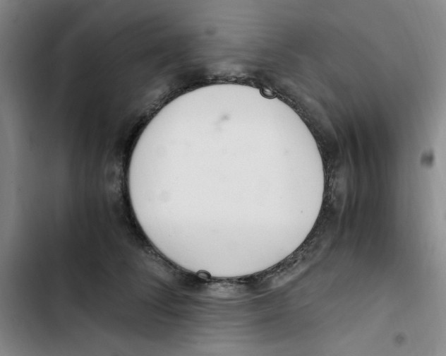 X0000102800708200809150929