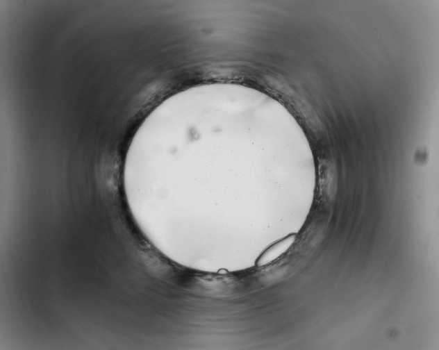 X0000102800712200809150929