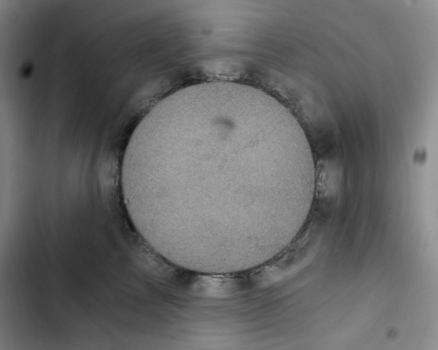 X0000102800713200809150929