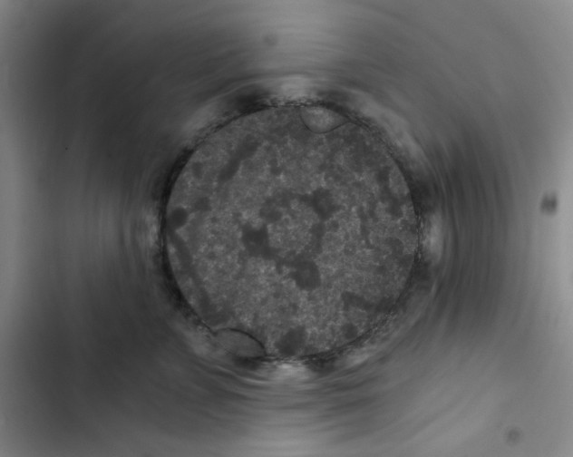 X0000102800715200809150929