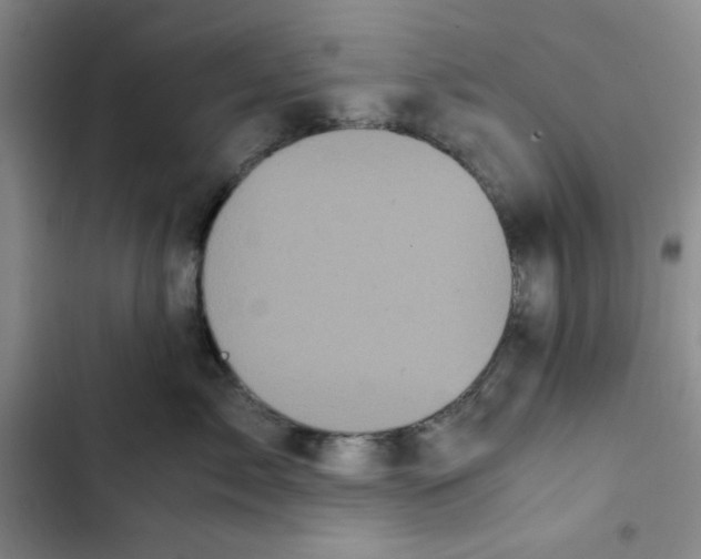 X0000102800717200809150929