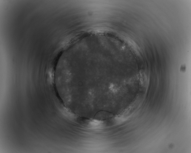 X0000102800718200809150929